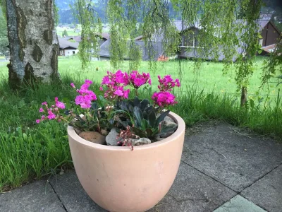 Chalet Chalet am Brüggli 1 - Outdoor photo 3