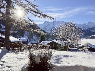 Chalet Chalet am Brüggli 1 - Outdoor photo 6