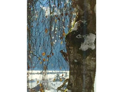 Chalet Chalet am Brüggli 1 - Outdoor photo 10