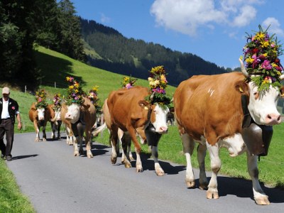 Chalet Chalet am Brüggli 1 - Environment photo 25