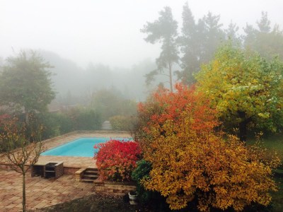 Holiday apartment Villa Spreewaldgarten No. 1 - Outdoor photo 8