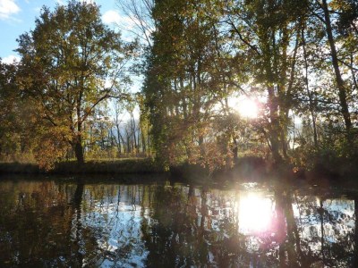 Holiday apartment Villa Spreewaldgarten No. 1 - Environment photo 18