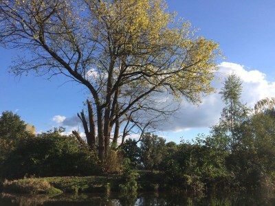Holiday apartment Villa Spreewaldgarten No. 1 - Environment photo 19