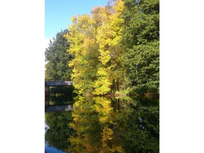 Holiday apartment Villa Spreewaldgarten No. 1 - Environment photo 20