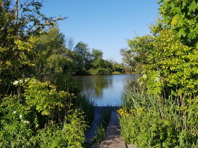 Holiday house Anke House - Outdoor photo 8