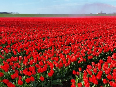 Holiday house Anke House - Environment photo 27