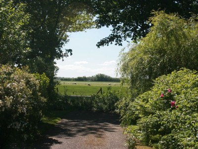 Holiday house Anke House - Environment photo 29