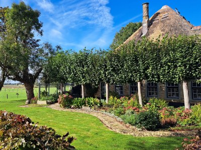 Holiday house Anke House - Environment photo 31