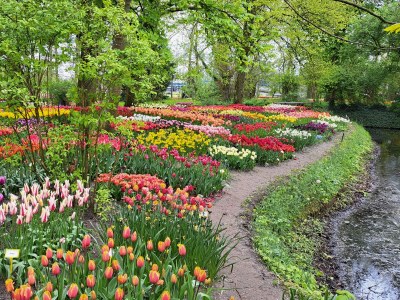 Holiday house Anke House - Environment photo 33