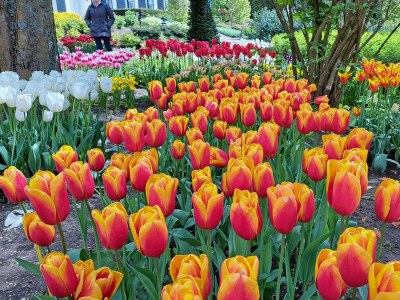 Holiday house Anke House - Environment photo 34