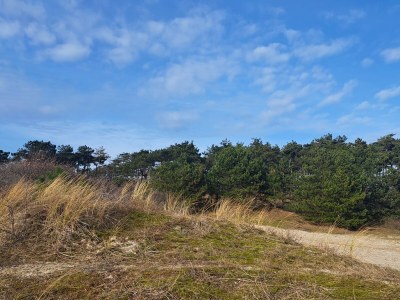 Holiday house Anke House - Environment photo 39