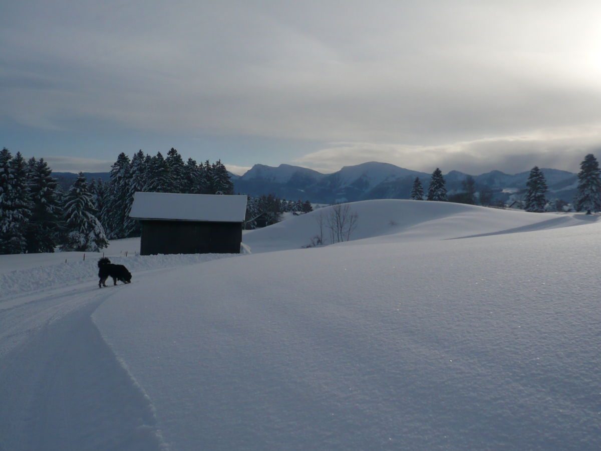 Holiday apartment Hehlehof - Outdoor photo 3