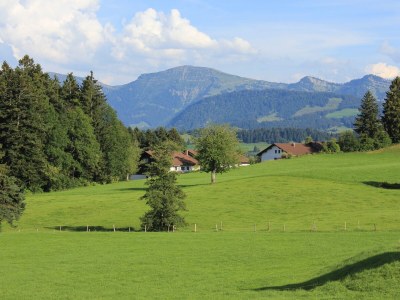 Holiday apartment Hehlehof in Oberreute - Holiday apartment