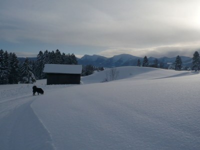 Holiday apartment Hehlehof - Outdoor photo 3