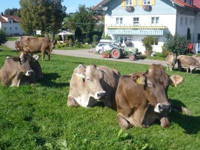 Holiday apartment Hehlehof - Environment photo 13