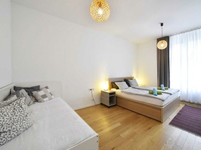 Apartment Testinserat Zagreb - Features photo 12