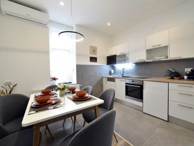 Apartment Testinserat Zagreb - Features photo 26