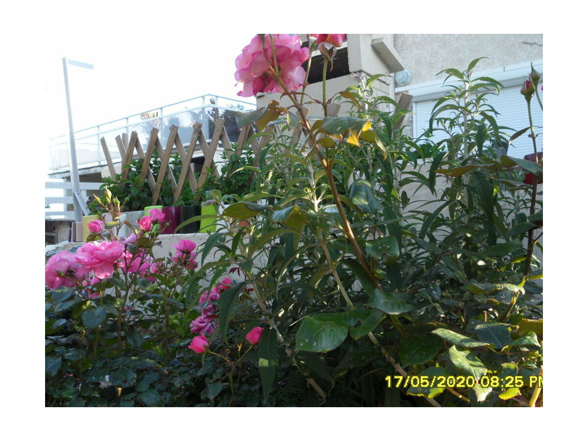 Holiday apartment White Rabbit Oasis of Tranquility - Outdoor photo 3