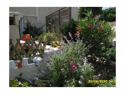 Holiday apartment White Rabbit Oasis of Tranquility - Outdoor photo 4