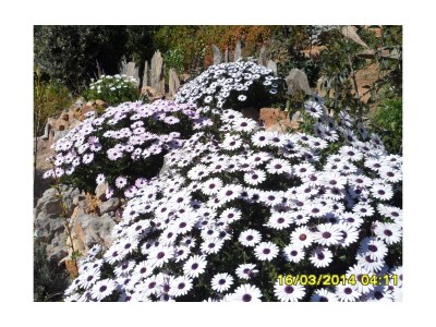 Holiday apartment White Rabbit Oasis of Tranquility - Outdoor photo 8