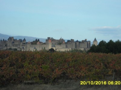 Holiday apartment White Rabbit Oasis of Tranquility - Environment photo 29