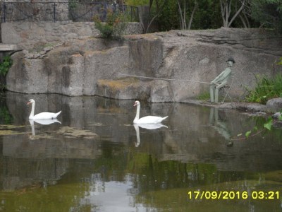 Holiday apartment White Rabbit Oasis of Tranquility - Environment photo 30