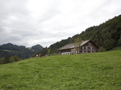 Holiday house Cabin "Hinter'm Berg" - Outdoor photo 7