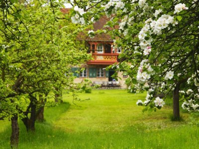 Holiday house Jagdhaus Schönau 20 people - Outdoor photo 7