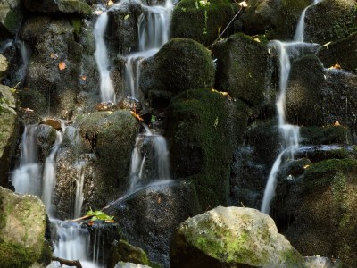 Holiday house Jagdhaus Schönau 20 people - Environment photo 38