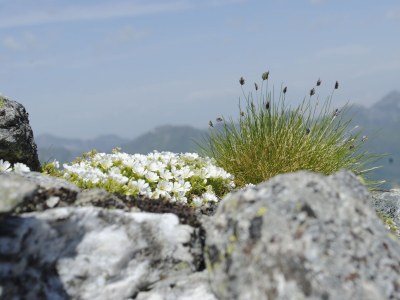 Holiday apartment Traum-Ferienwohnung - Environment photo 28