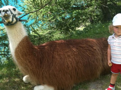 Holiday apartment Comfort Bergkristall - Environment photo 21