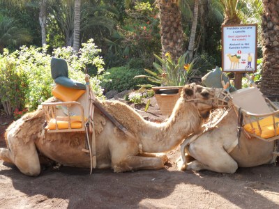 Holiday apartment Panorama - Environment photo 15