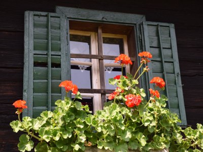 Holiday house Pilchhiasl - Outdoor photo 6