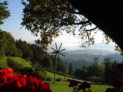 Holiday house Pilchhiasl - Outdoor photo 9