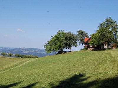 Holiday house Pilchhiasl - Outdoor photo 15