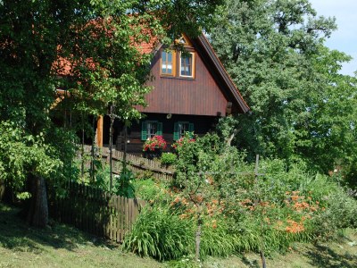 Holiday house Pilchhiasl - Outdoor photo 17
