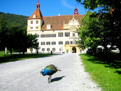 Holiday house Pilchhiasl - Environment photo 32