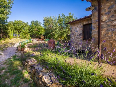 Holiday house Casa Amiata - Outdoor photo 12