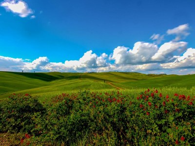 Holiday house Casa Amiata - Environment photo 24