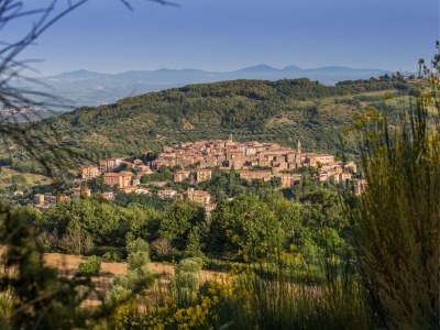 Holiday house Casa Amiata - Environment photo 26
