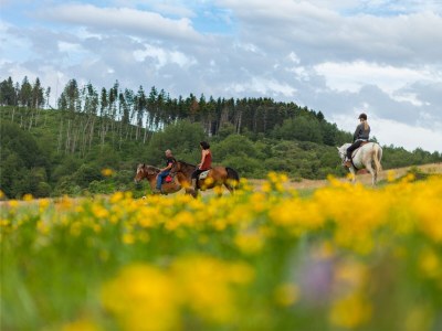 Holiday house Casa Amiata - Environment photo 28