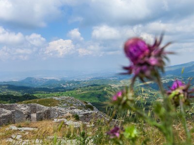 Holiday house Casa Amiata - Environment photo 30