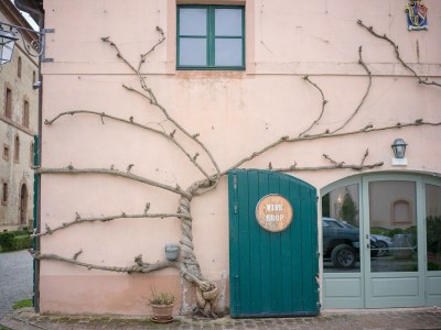 Holiday house Casa Amiata - Environment photo 31