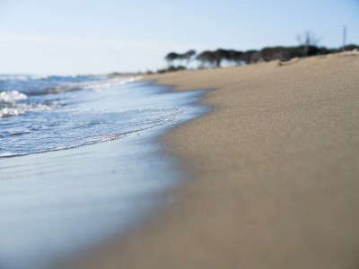 Holiday house Casa Amiata - Environment photo 33