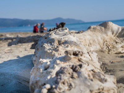 Holiday house Casa Amiata - Environment photo 34