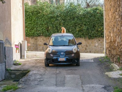 Holiday house Casa Amiata - Environment photo 35