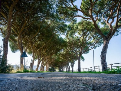 Holiday house Casa Amiata - Environment photo 38