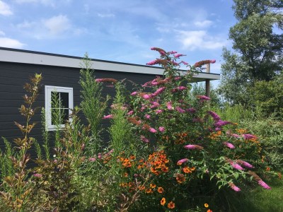 Holiday apartment Strand49 Beachloft - Outdoor photo 7