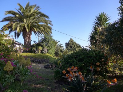 Finca La Guapa - Outdoor photo 28