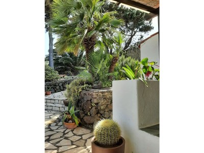 Finca La Guapa - Outdoor photo 31